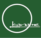 奈良市の要鍼灸院